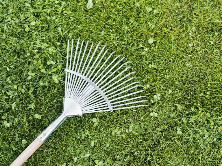 ramassage déchet par jardinier paysagiste à Sauveterre de Guyenne Libourne Langon