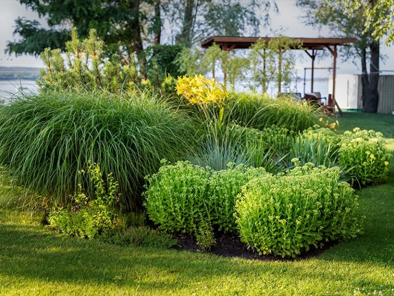 conseil entretien jardin par paysagiste à Sauveterre de Guyenne Libourne et Langon
