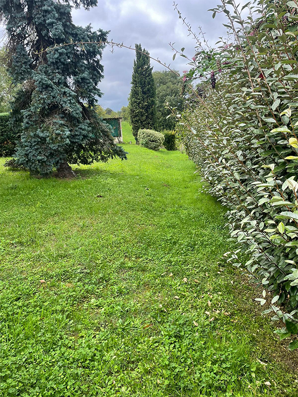 herbe avant taille haie par paysagiste à Sauveterre de Guyenne Libourne et Langon