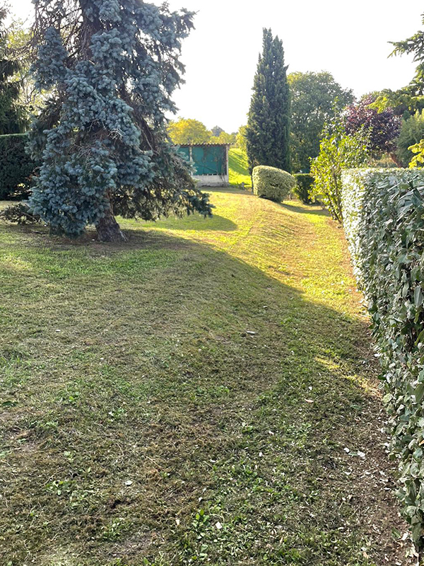 herbe après taille haie par paysagiste à Sauveterre de Guyenne Libourne et Langon
